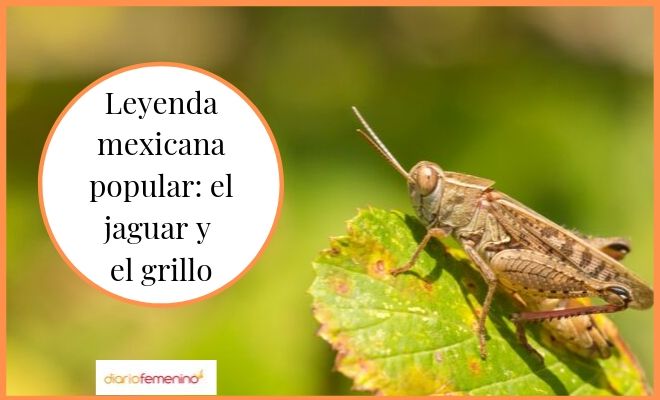 ¿De qué trata la leyenda mexicana del jaguar y el grillo?